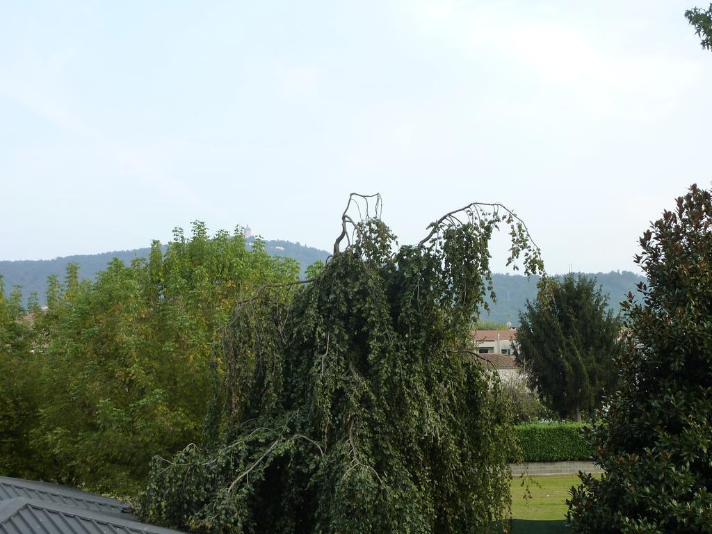 Belvedere